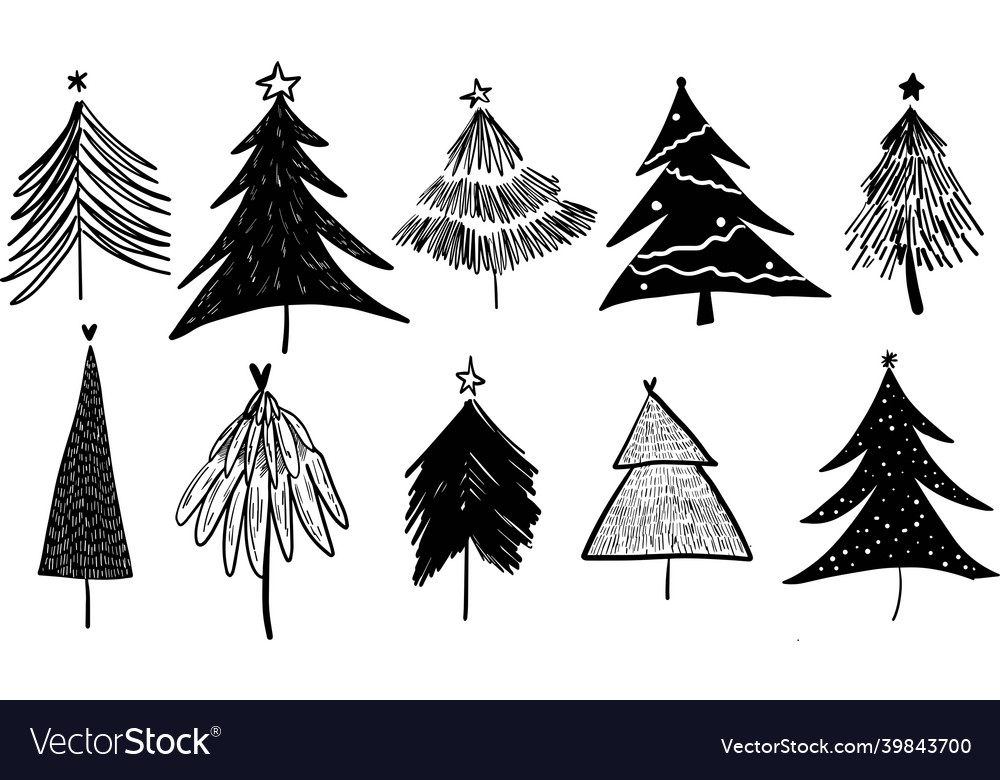 Cute abstract boho conifer pine fir christmas Vector Image