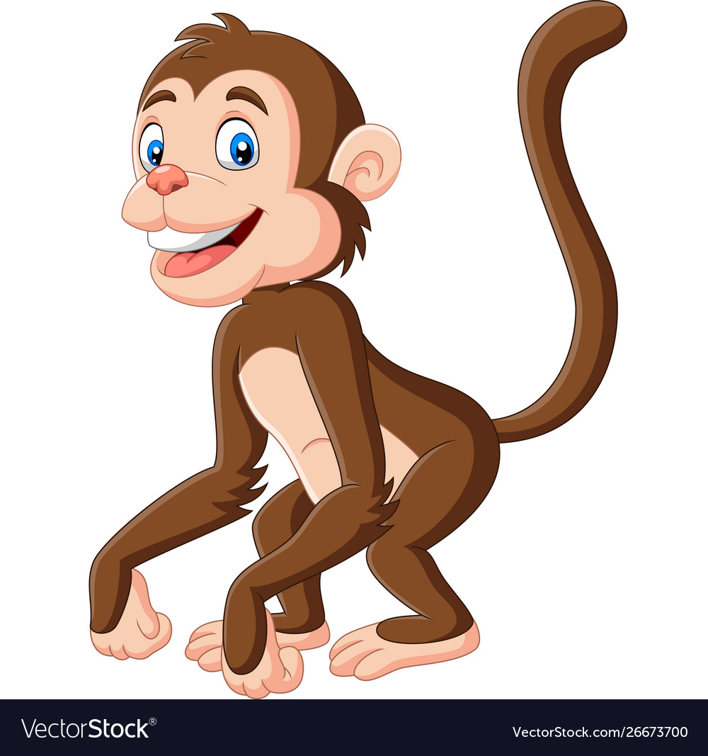 Cute bamonkey cartoon on white background Vector Image