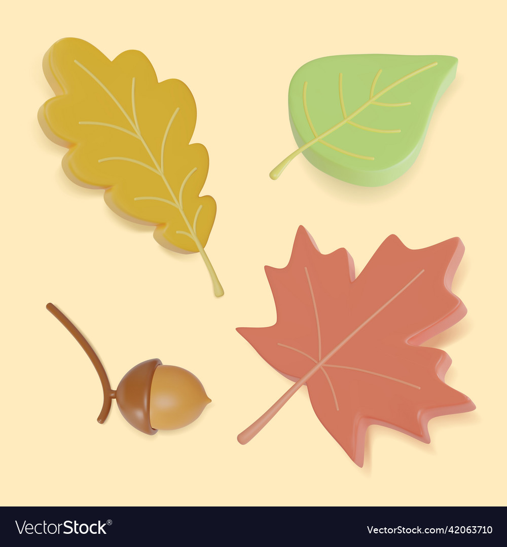 3d stylized leaves and acorn set cartoon style