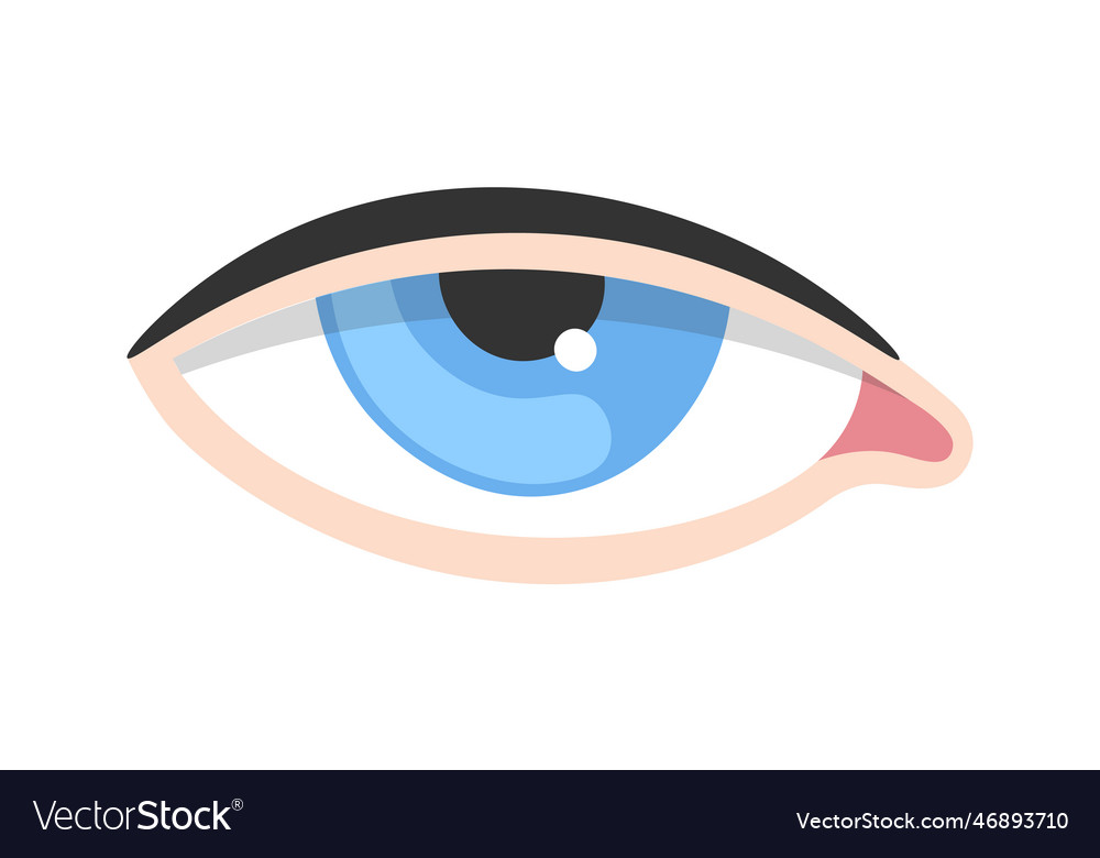 Ptosis human eye disease Royalty Free Vector Image