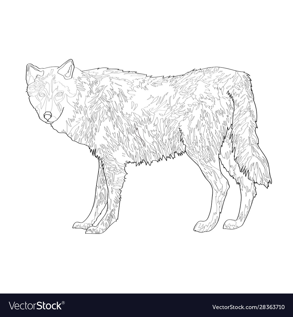 Wolf image black line