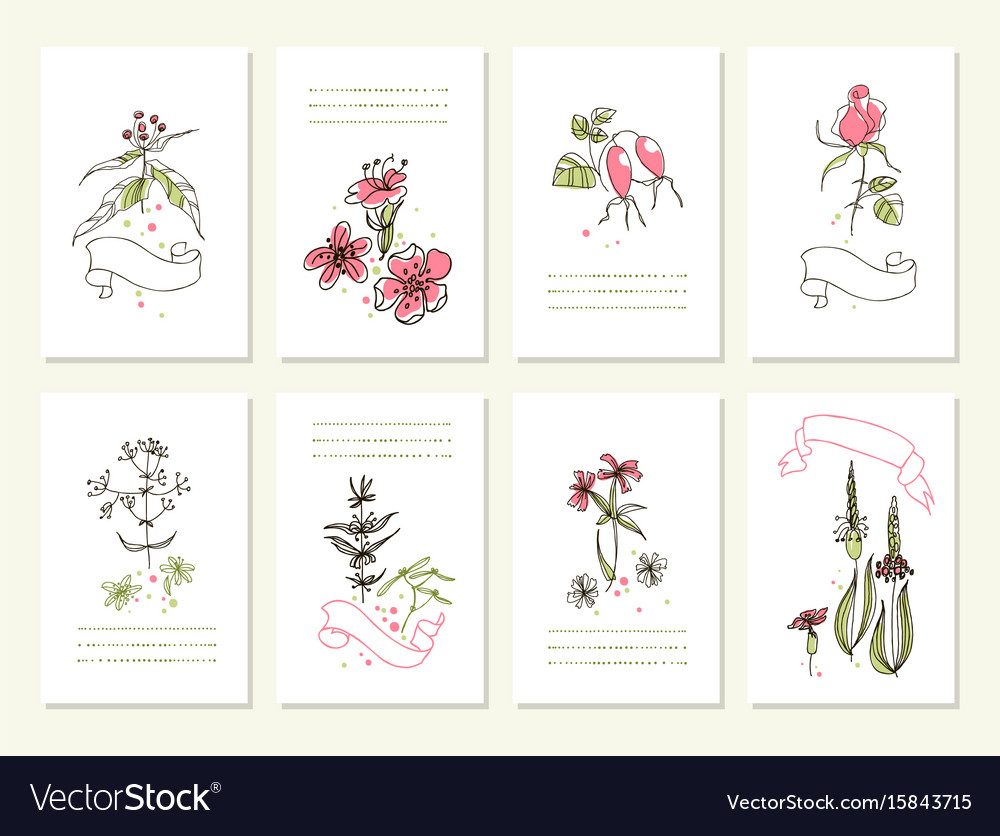 Hand drawn collection of romantic floral