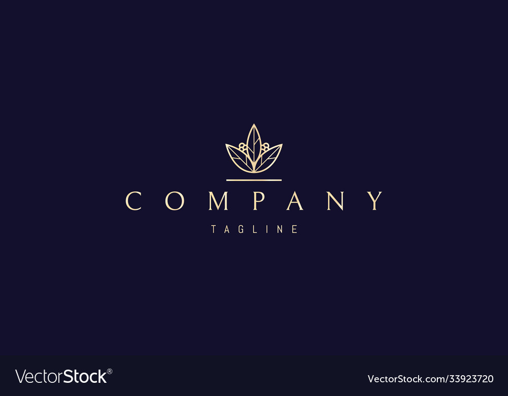 Golden logo on which an abstract elegant Vector Image