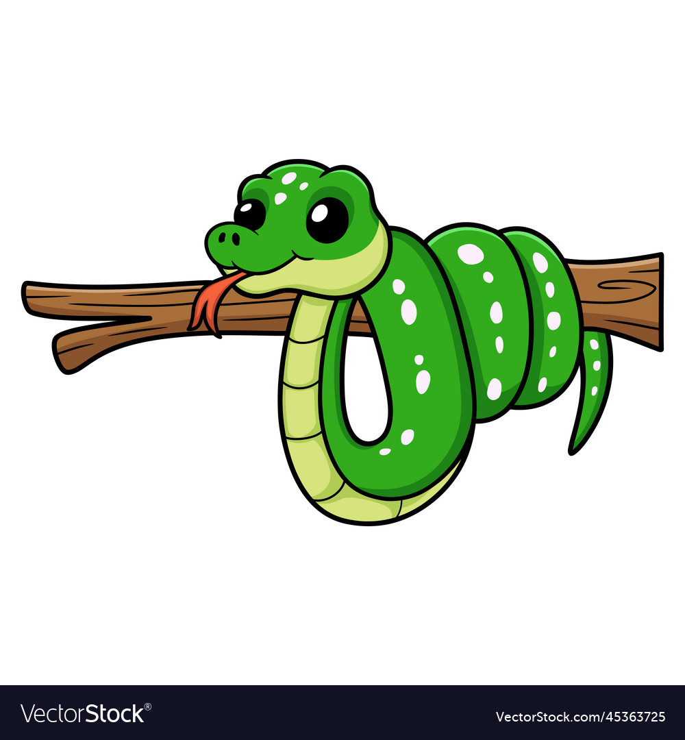 Cute green tree python cartoon on branch Vector Image