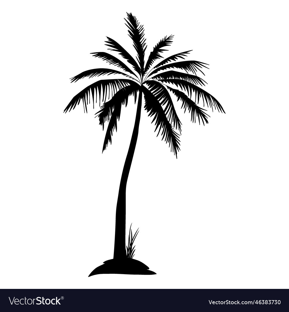 Black isolated palm tree silhouette