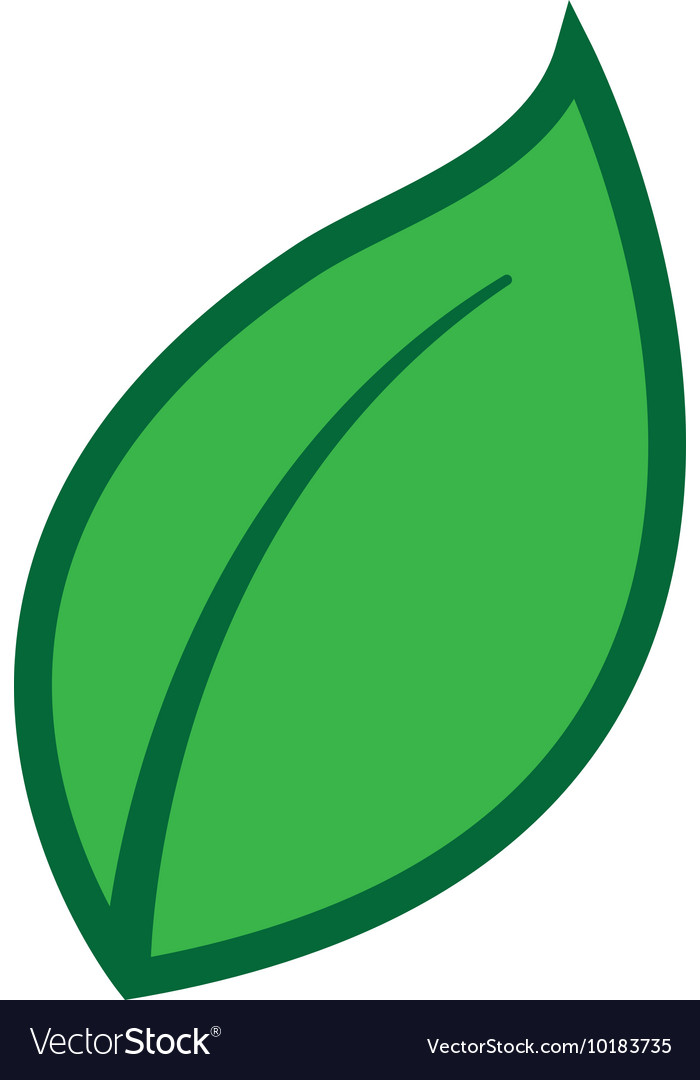 Leaf plant green icon Royalty Free Vector Image