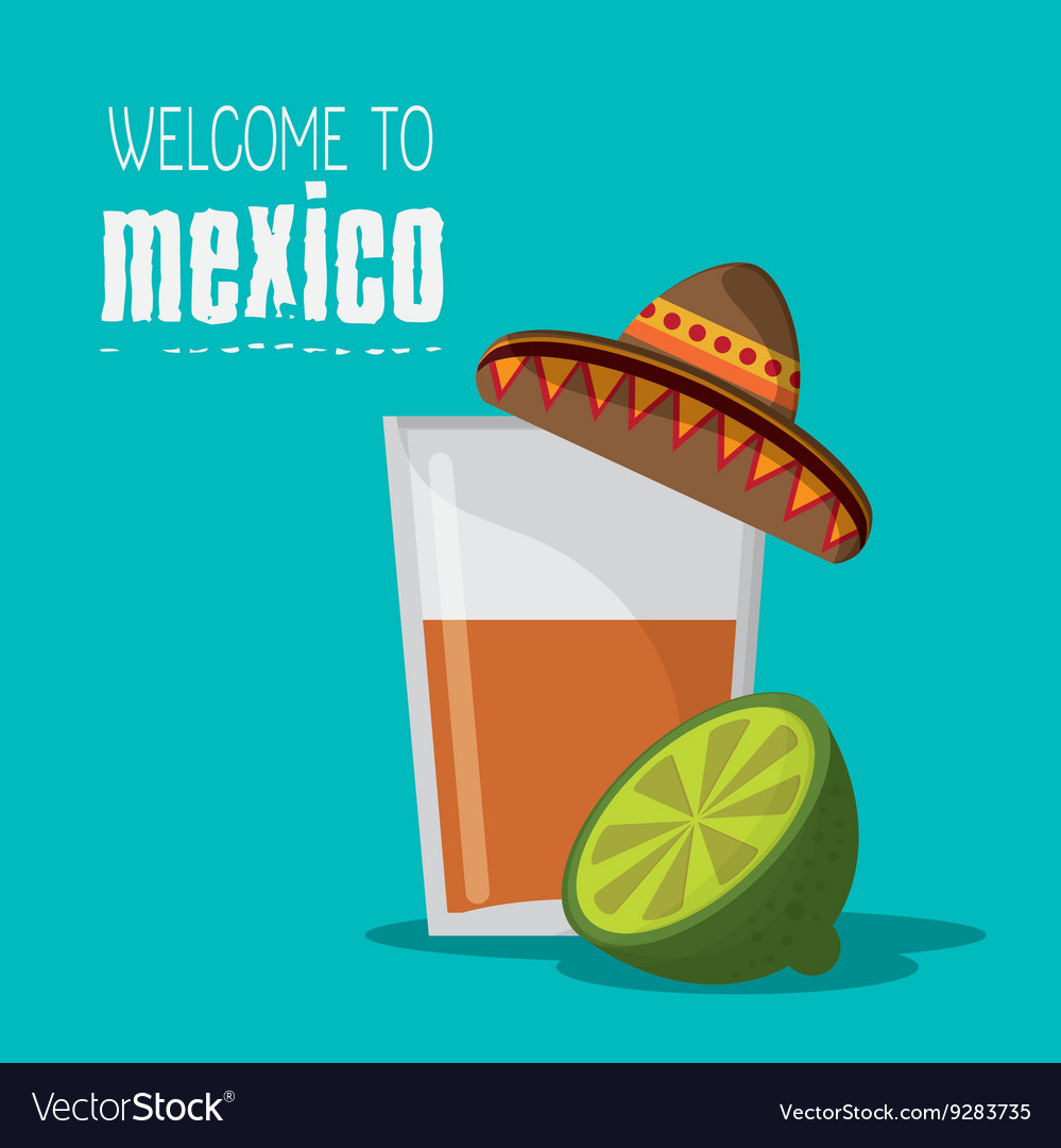 Mexico culture icons in flat design style Vector Image