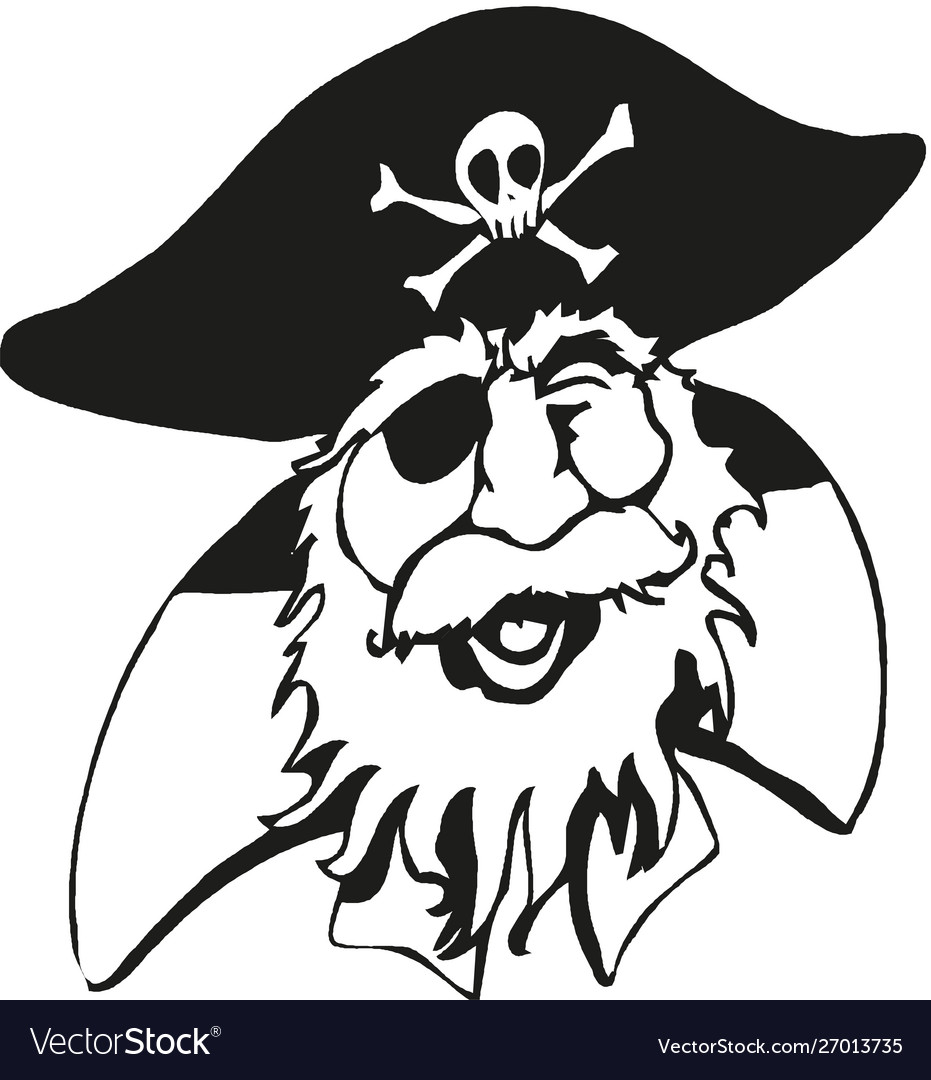 Pirate with skull emblem hat