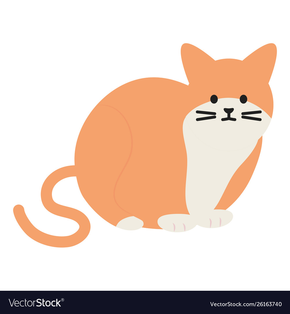 Cute cat mascot adorable character Royalty Free Vector Image