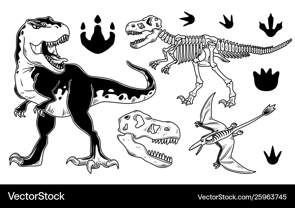 Set dinosaurs Royalty Free Vector Image - VectorStock