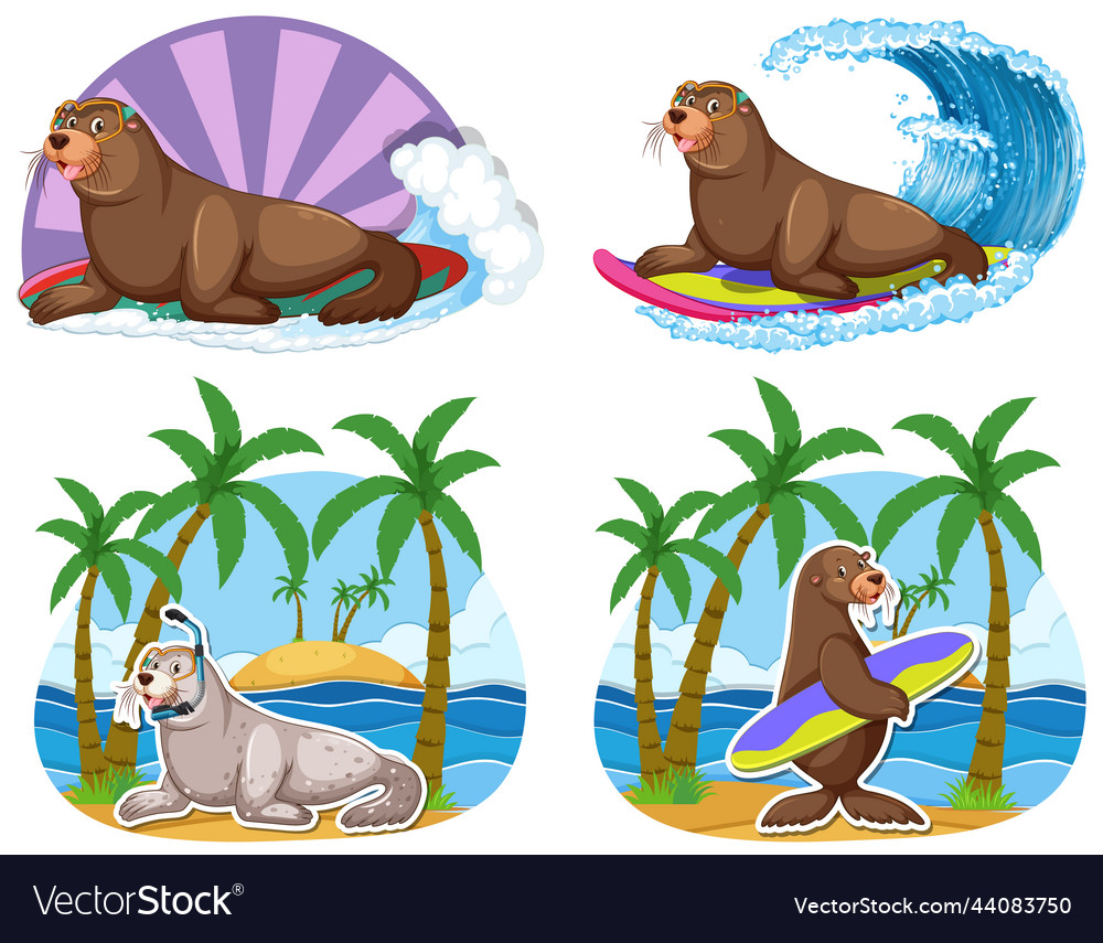 Set of different sea lions cartoon characters Vector Image Set of different sea lions cartoon characters Vector Image