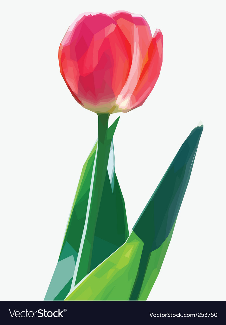 Spring flowers