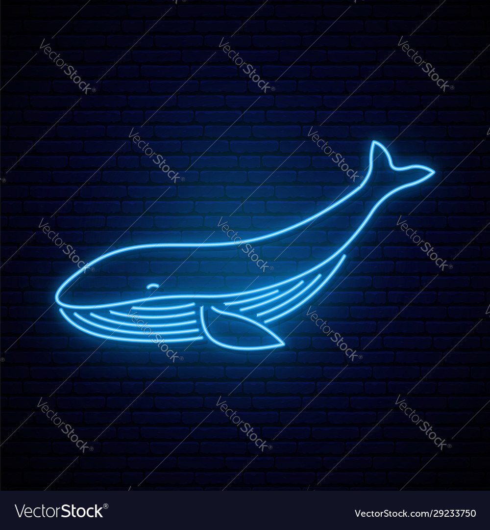 whale neon light