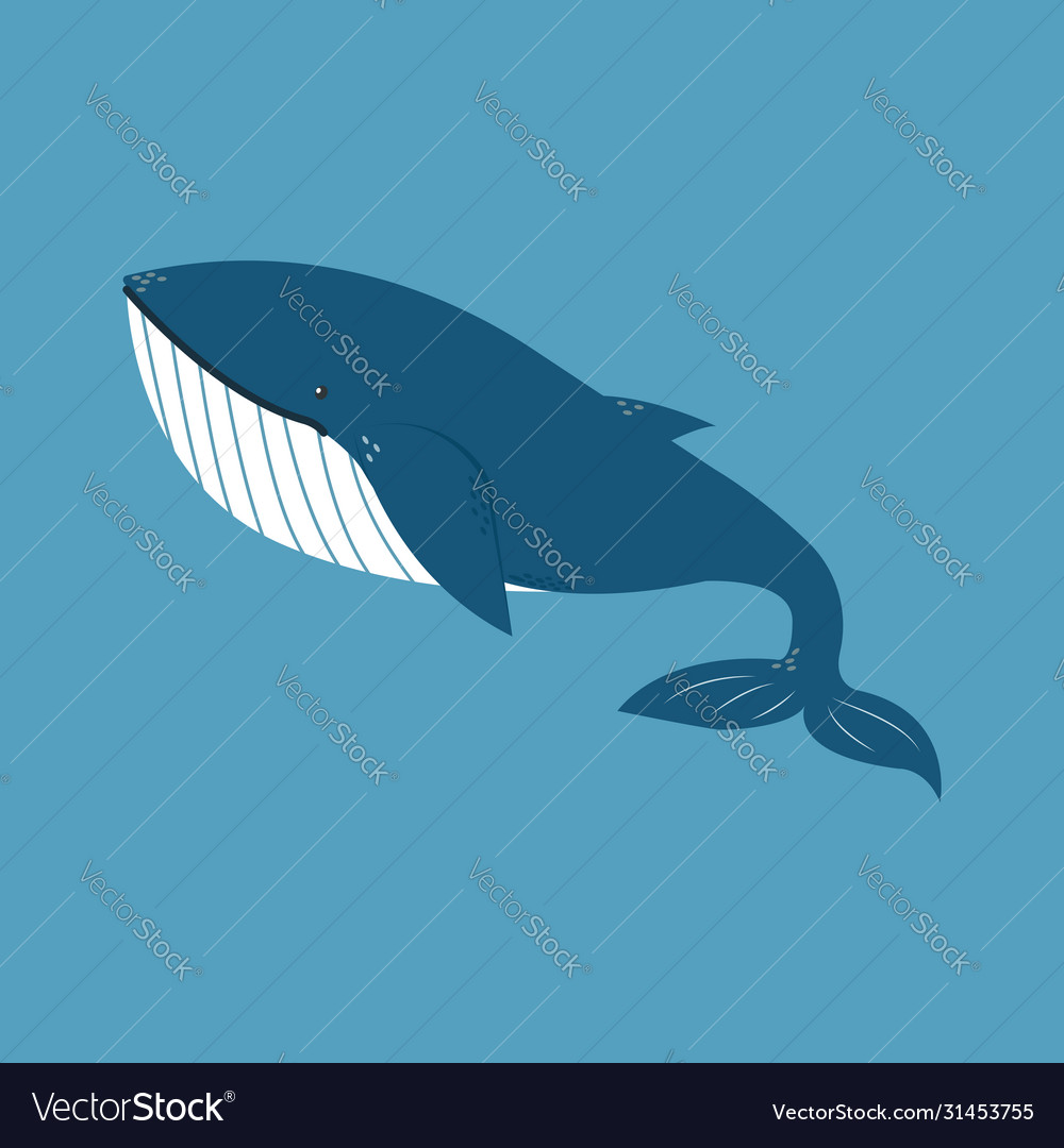 Whale on white background Royalty Free Vector Image