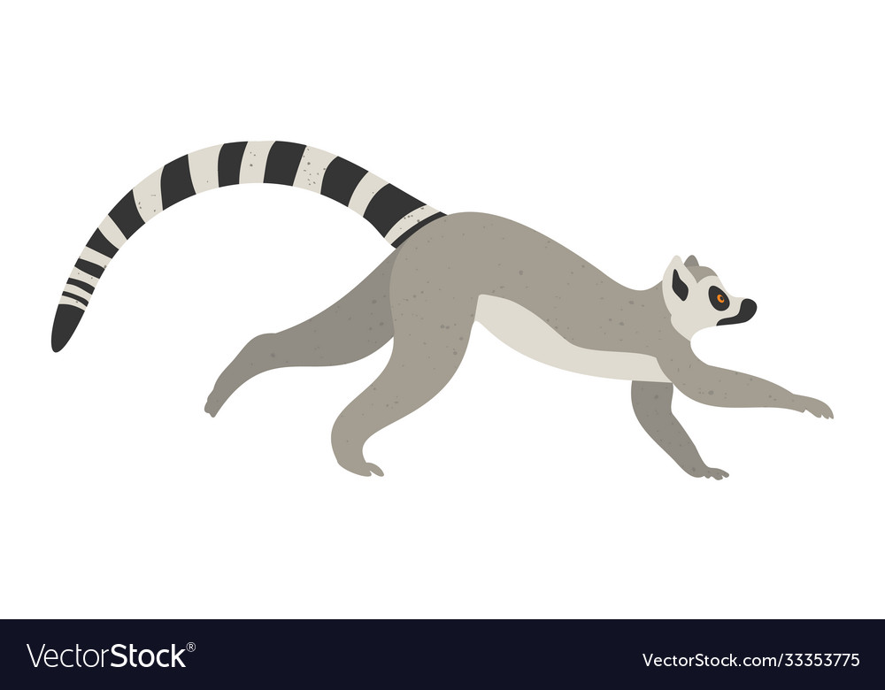 Cute funny lemur on an isolated white background Vector Image