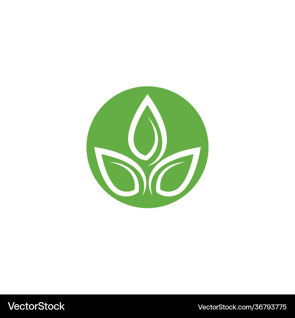 Leaf Royalty Free Vector Image - VectorStock