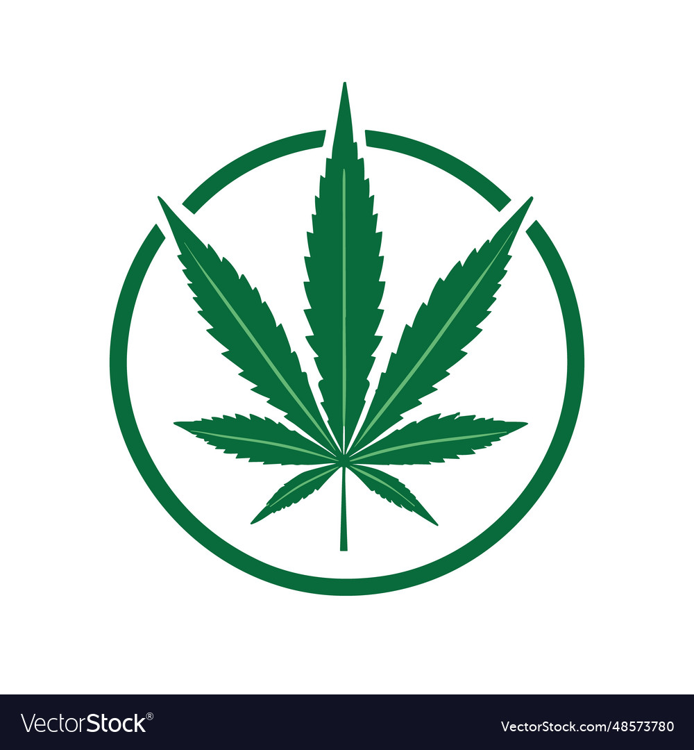 Cannabis logo design marijuana leaf silhouette