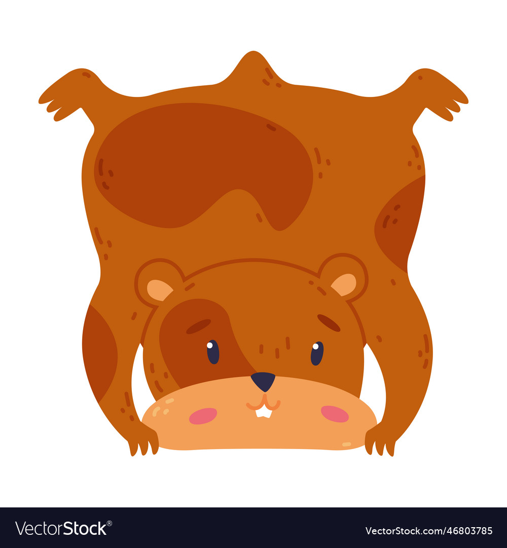 Cute hamster standing upside down funny brown