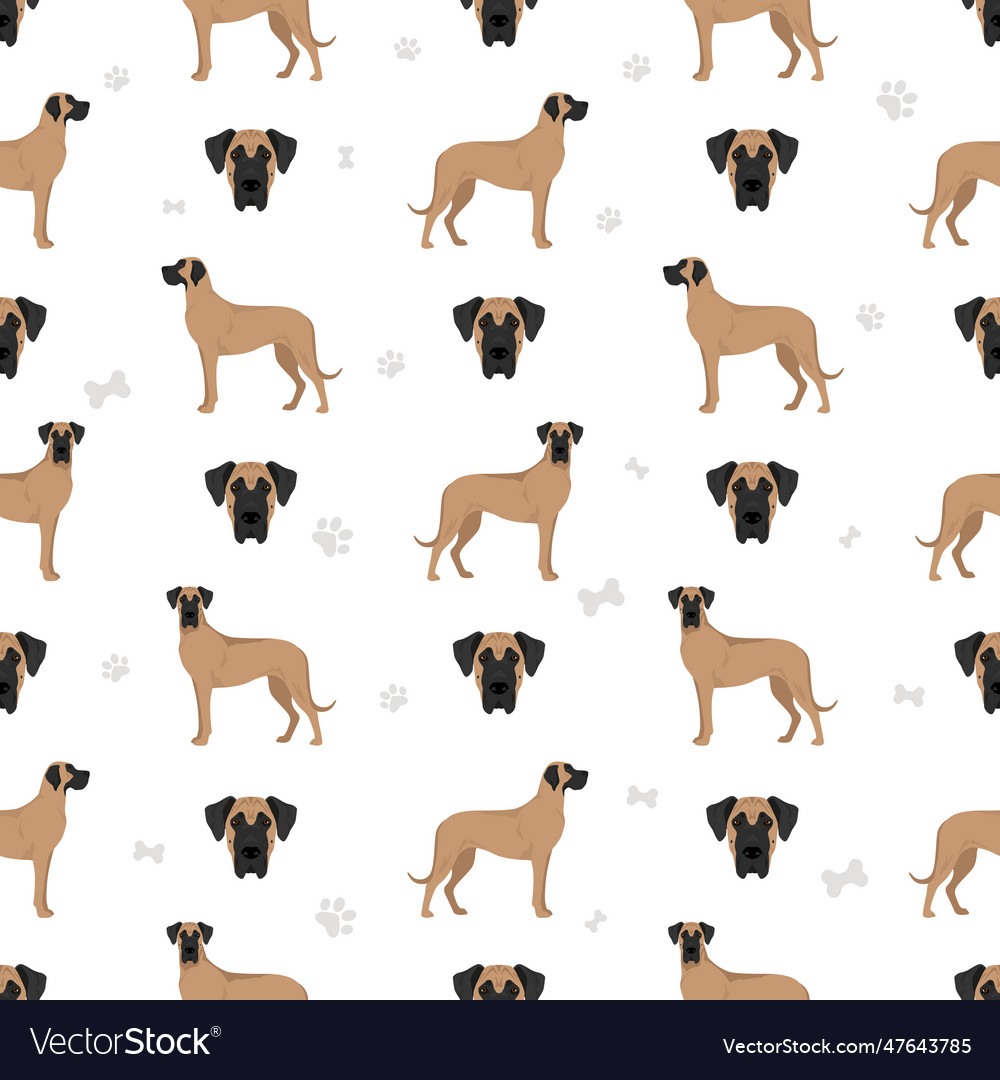 Great dane seamless pattern different variaties