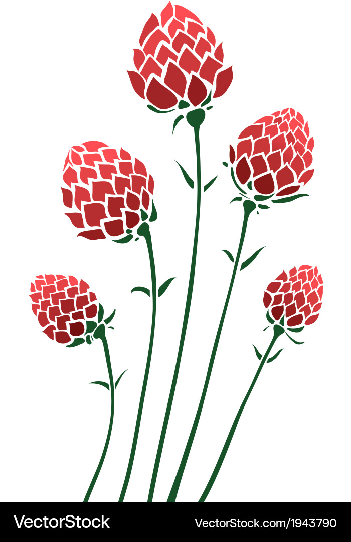 Flowers Composition Royalty Free Vector Image - VectorStock