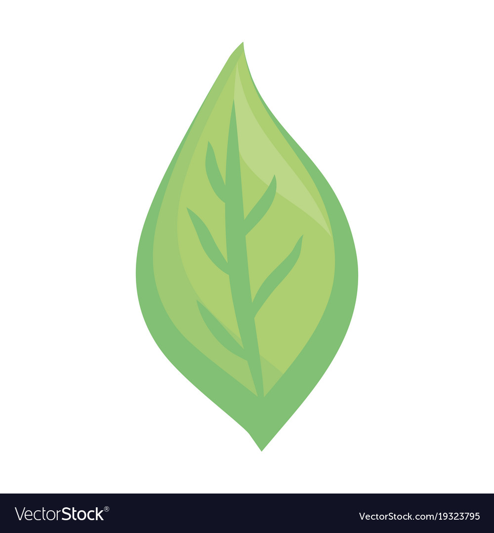 Leaf eco symbol cartoon Royalty Free Vector Image