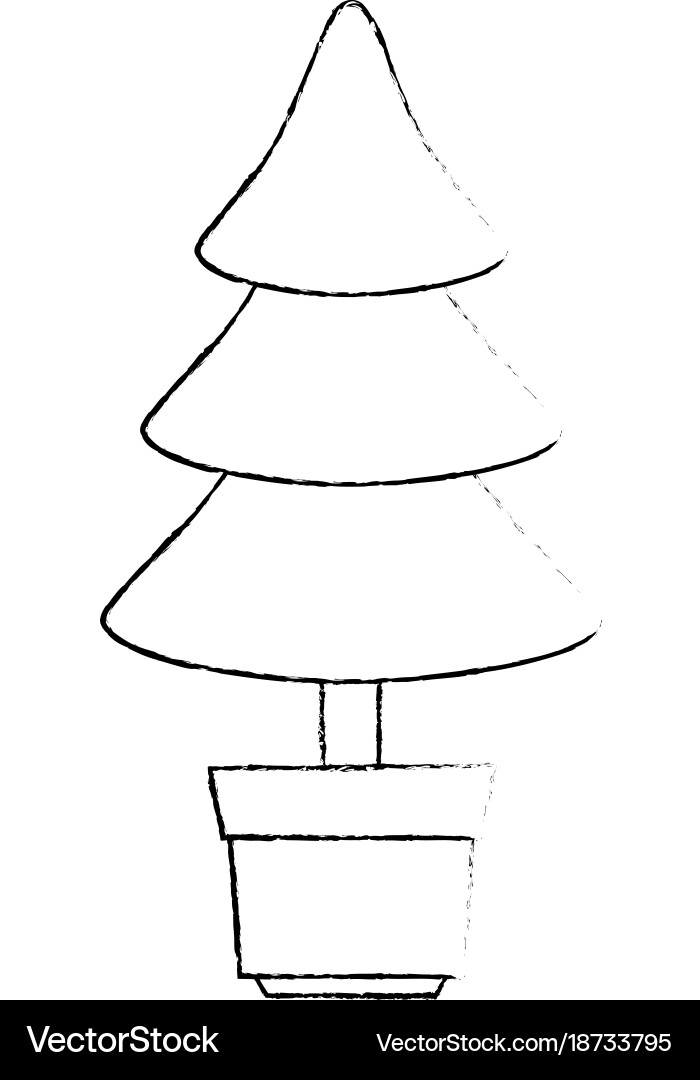 Pine tree isolated icon Royalty Free Vector Image