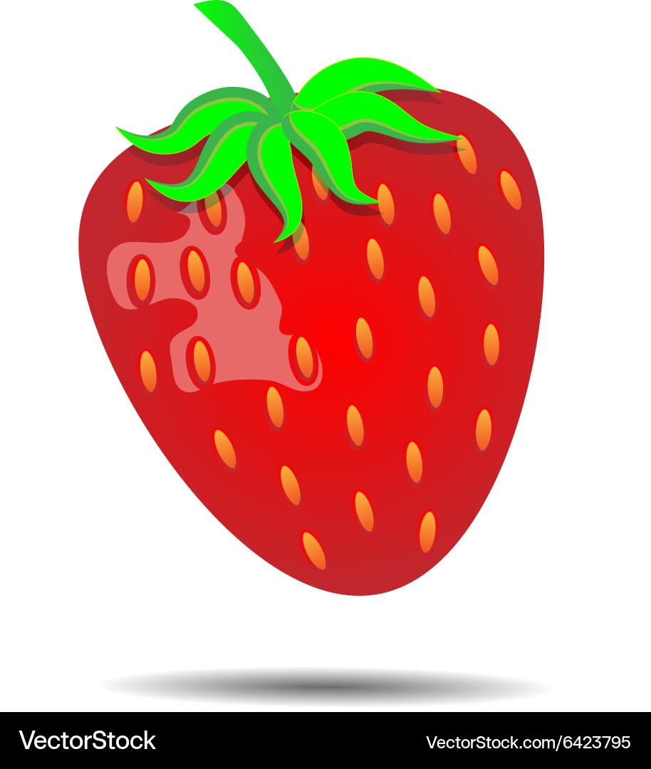 Strawberry isolated Royalty Free Vector Image - VectorStock