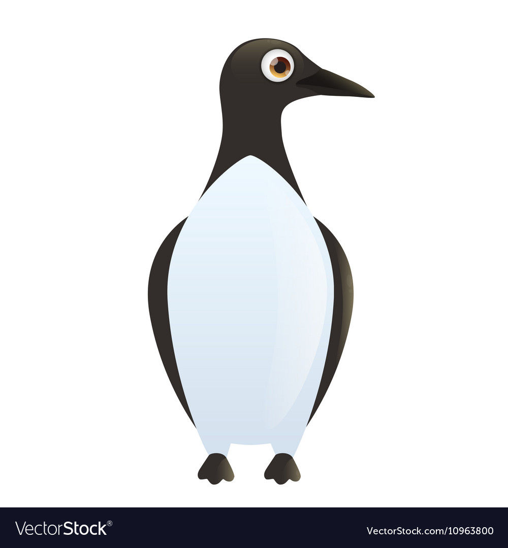 Guillemot on a white background Royalty Free Vector Image