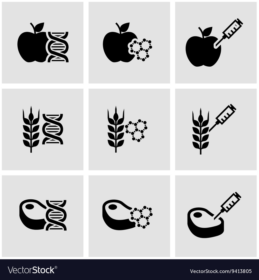 Black Genetically Modyfied Food Icon Set Vector Image