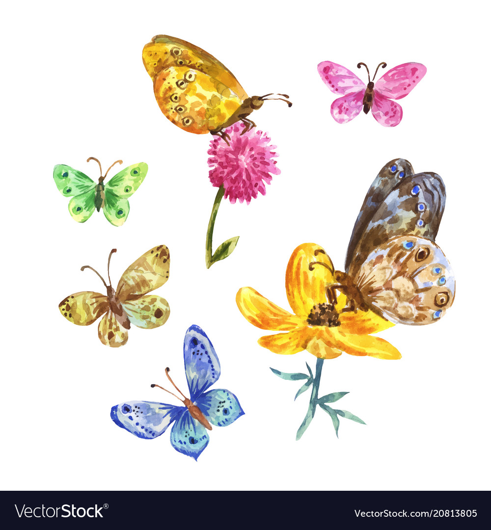 Watercolor butterflies Royalty Free Vector Image