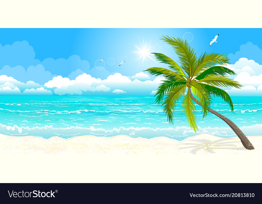 Tropical Beach Royalty Free Vector Image - Vectorstock