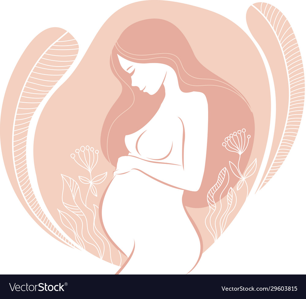 Beautiful pregnant woman with floral ornaments vector image Beautiful pregnant woman with floral ornaments