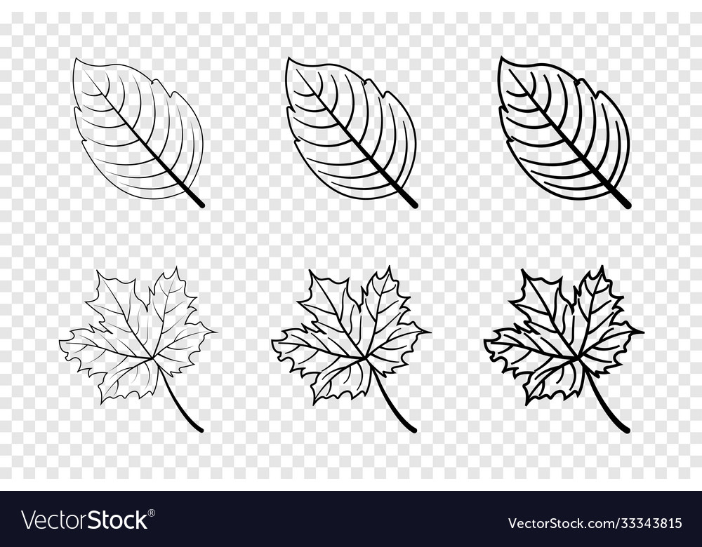 Leaf in line design leaves autumn