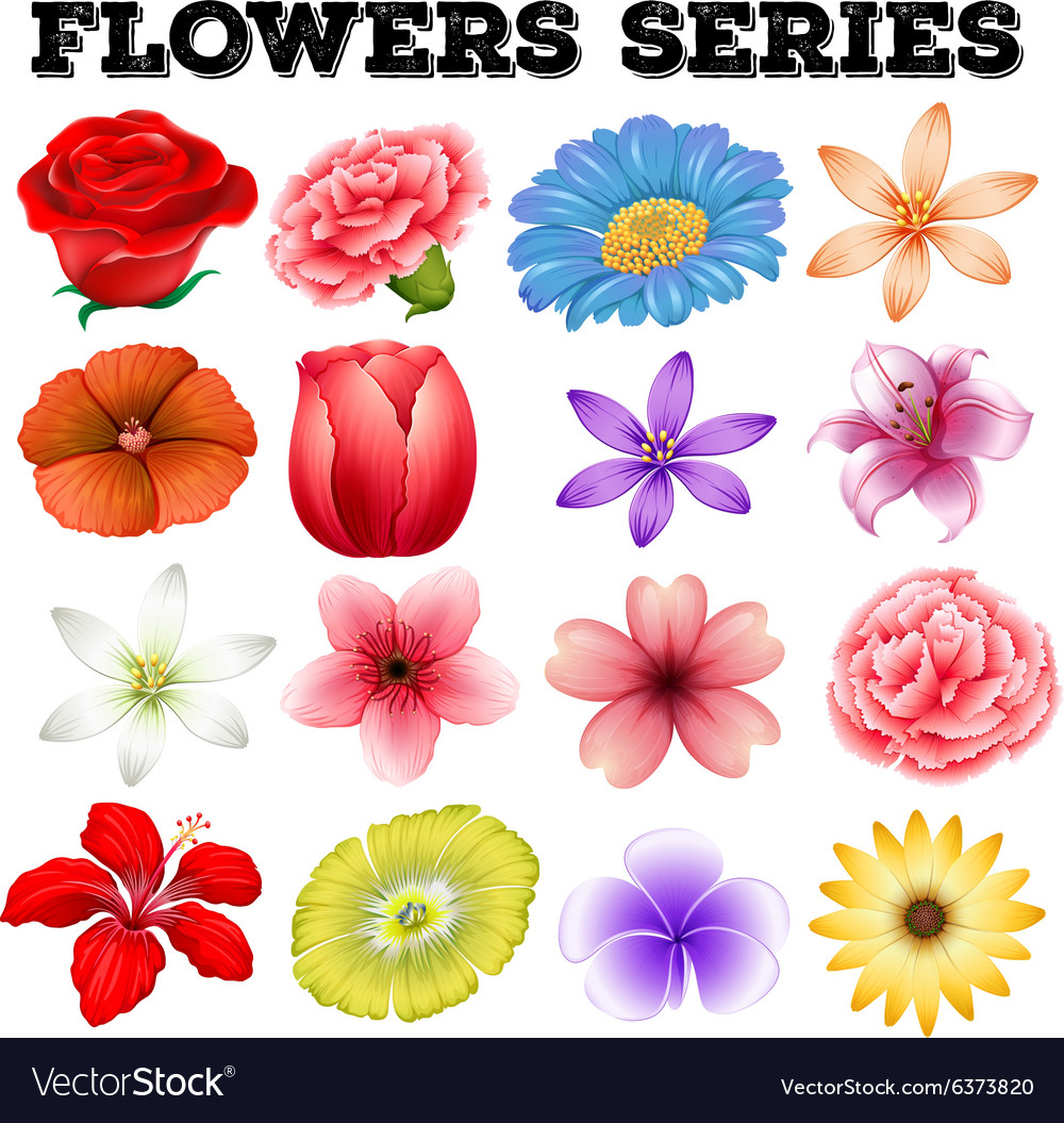 types of flowers