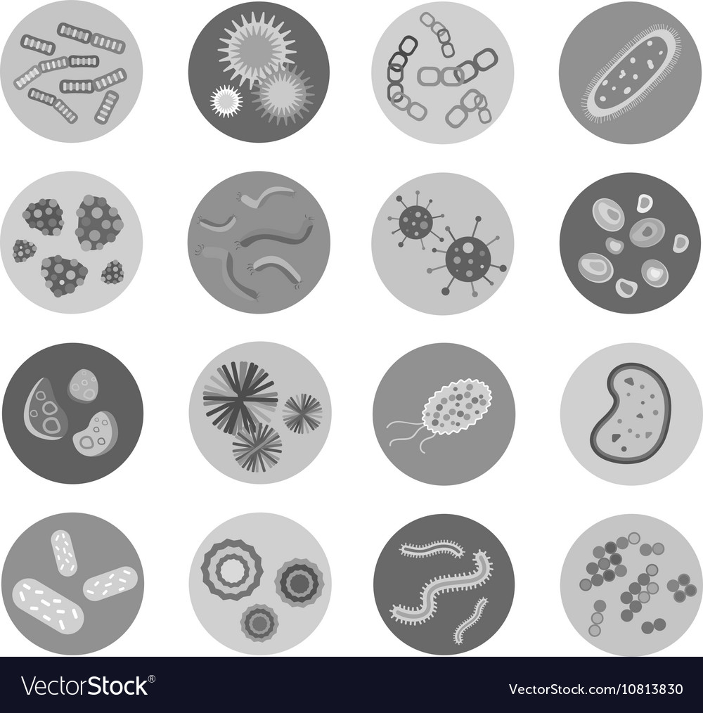 Bacteria virus icon