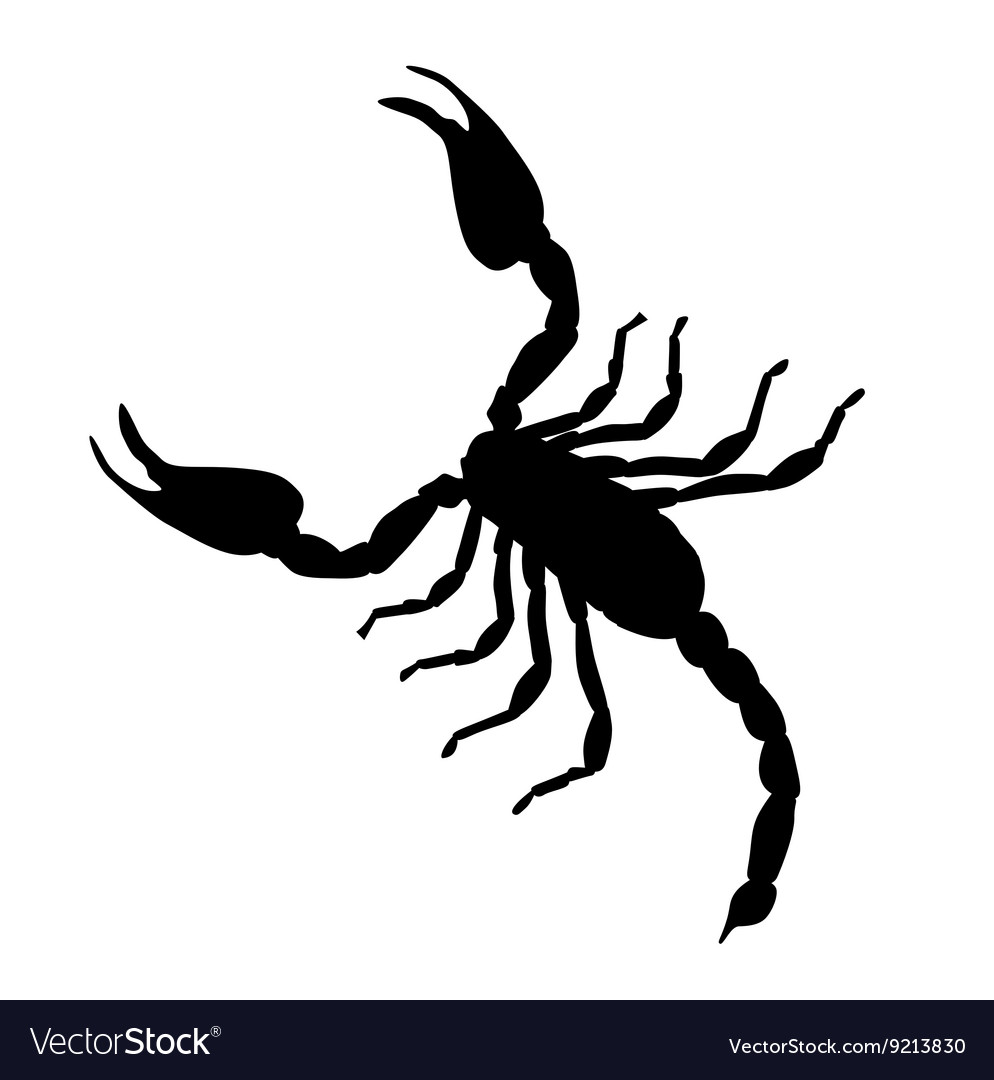 Large Scorpion Silhouette Royalty Free Vector Image