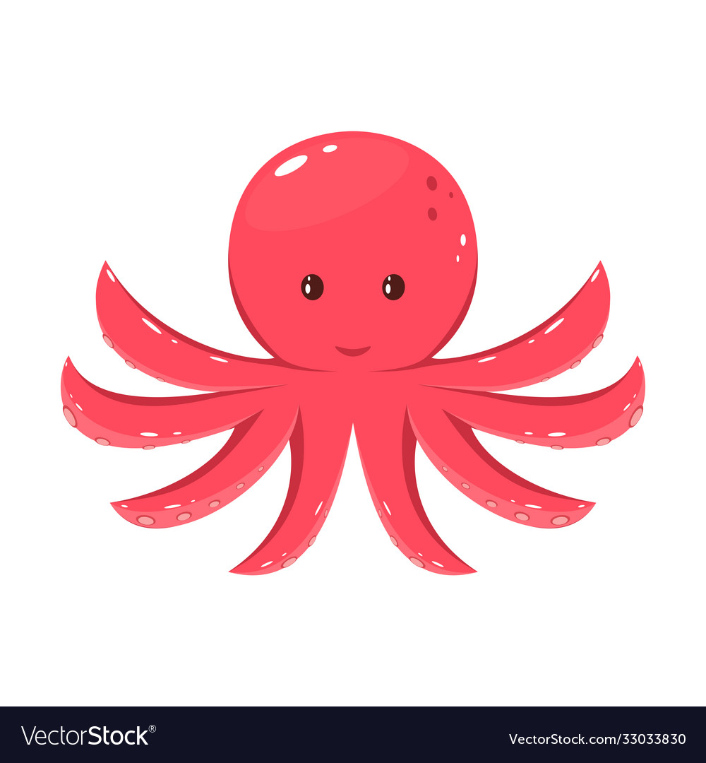 Octopus on white background Royalty Free Vector Image