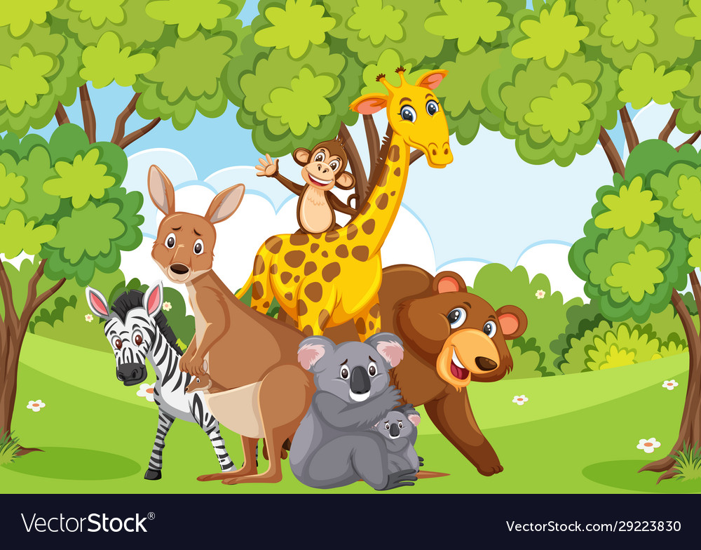 Scene with many wild animals in forest