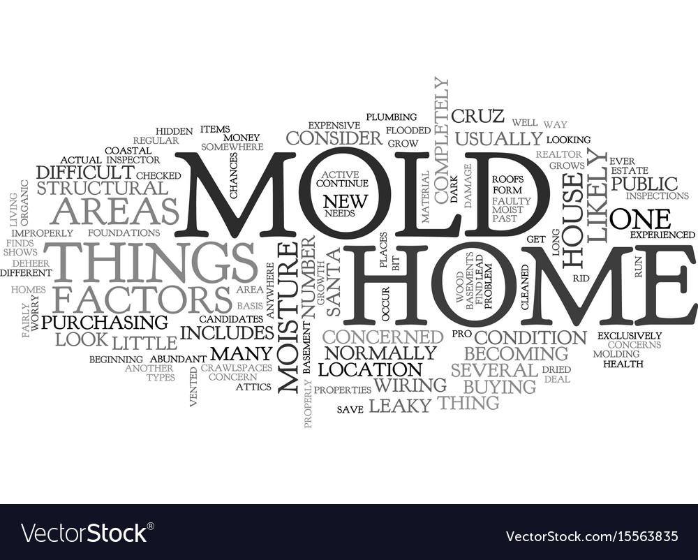 A bit about mold text word cloud concept Vector Image