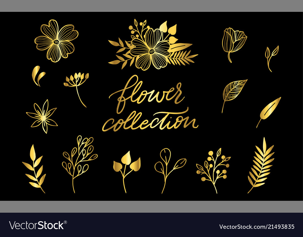 Floral set of very detailed hand-drawn elements