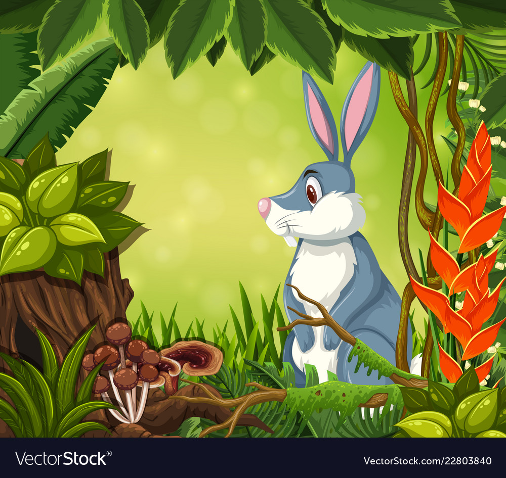 A rabbit in jungle background Royalty Free Vector Image