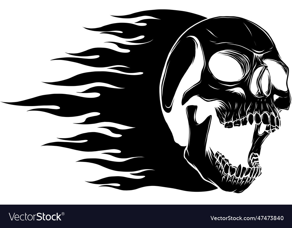 Black silhouette of skull on fire with flames Vector Image