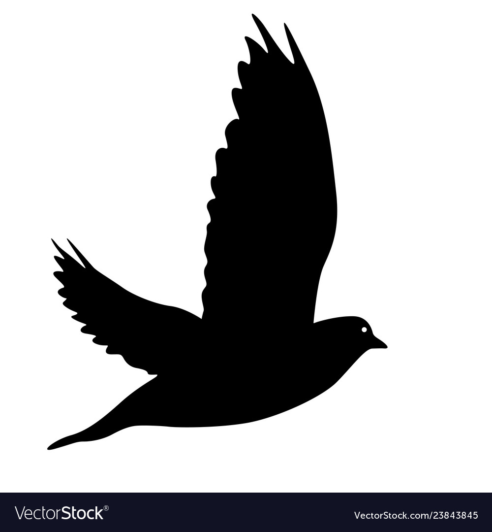 Concept of love or peace silhouettes doves Vector Image