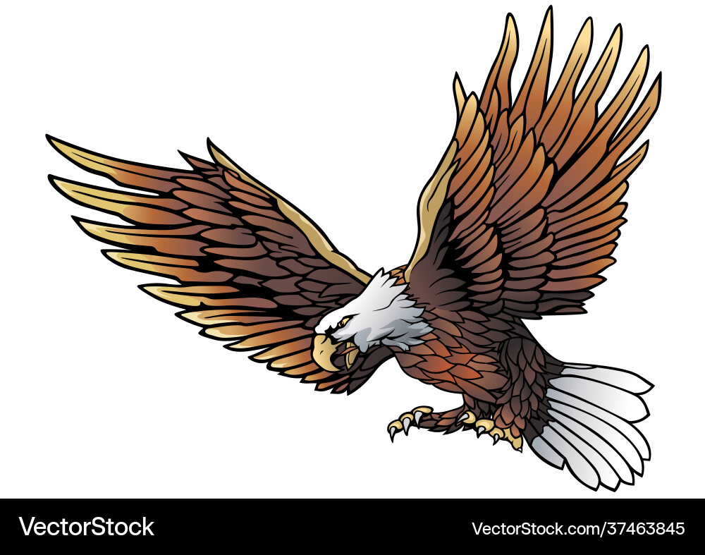 Flying bald eagle Royalty Free Vector Image - VectorStock