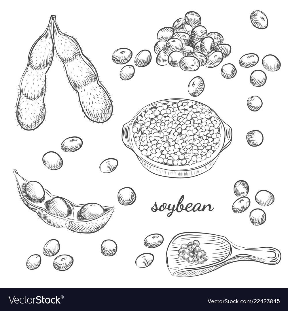 Update more than 147 drawing of pulses super hot vietkidsiq.edu.vn