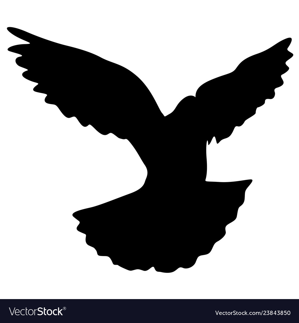 Concept of love or peace silhouettes doves