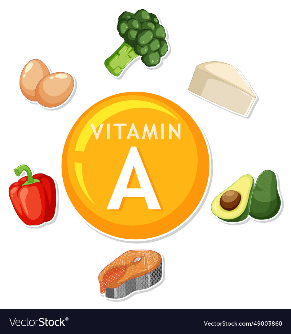 Healthy foods containing vitamin a for balanced Vector Image