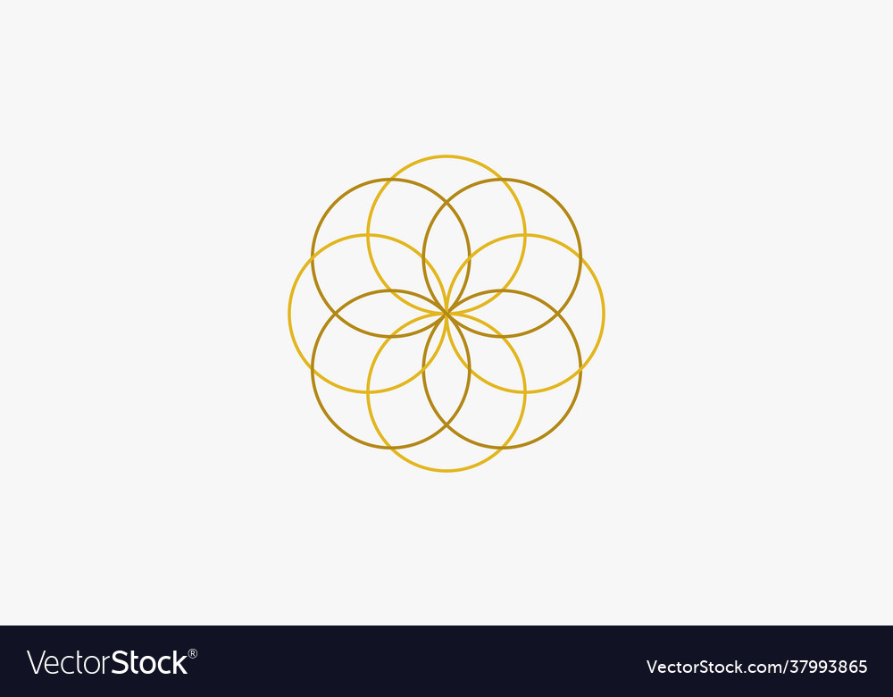 Gold ring circle line flower logo graphic design