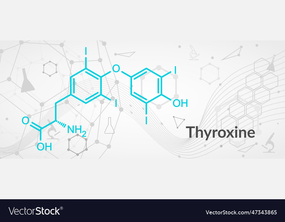 Thyroxine t4 or levothyroxine thyroid hormone