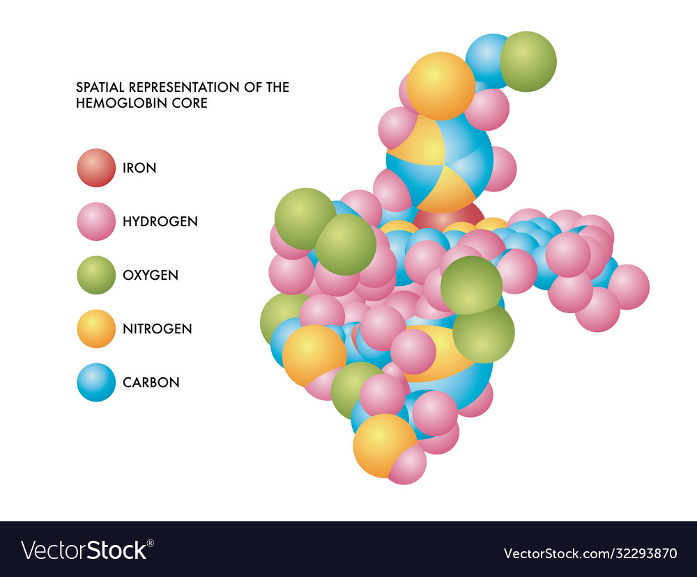 Hemoglobin core